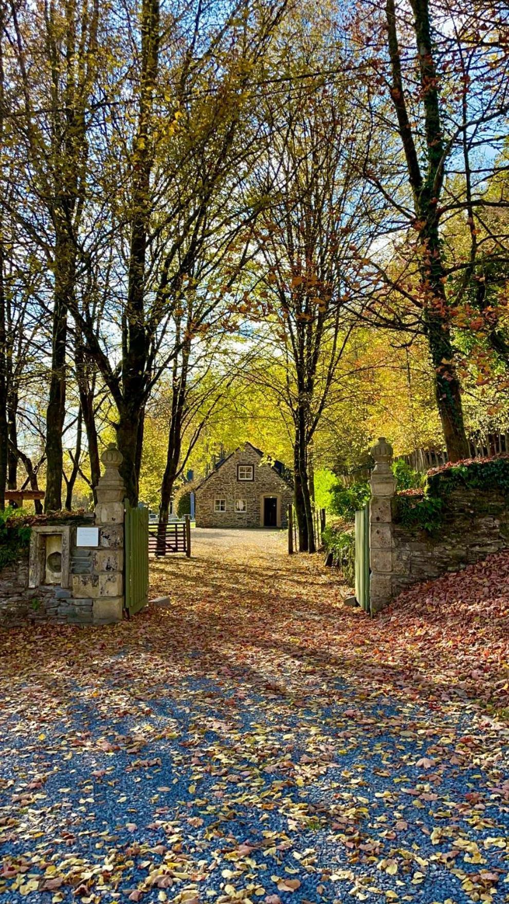 Chateau Du Pont D'Oye Habay-la-Neuve 外观 照片